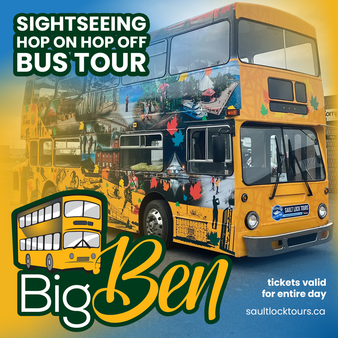 Big Ben the hop on hop off sightseeing bus tour